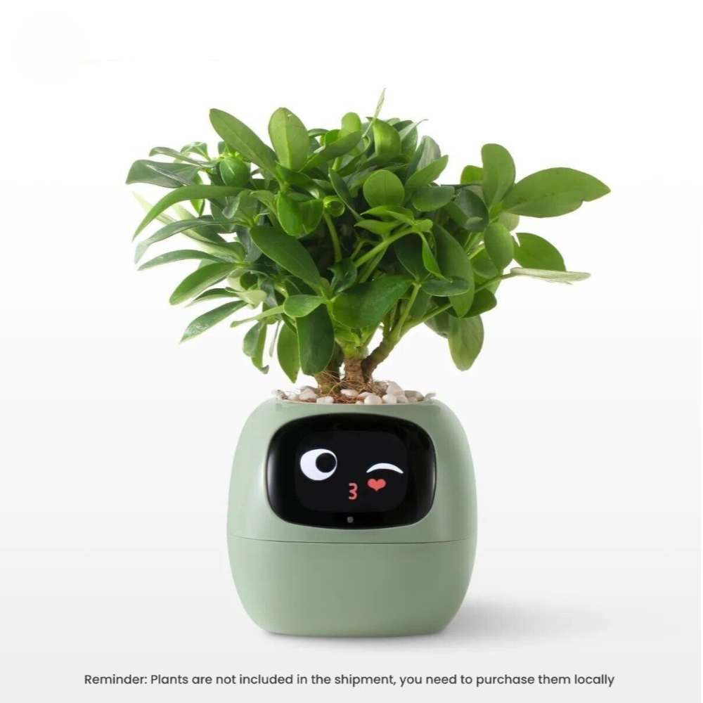DoodlePop™ Pretty Perfect Pot