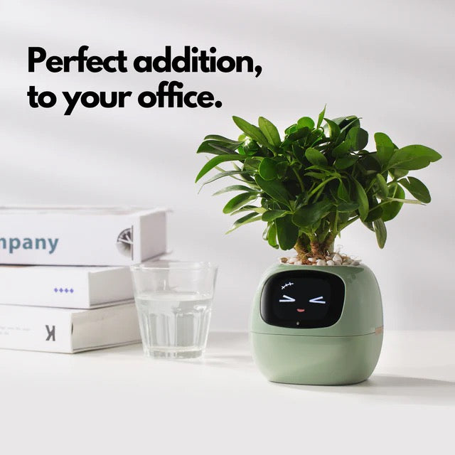 DoodlePop™ Pretty Perfect Pot