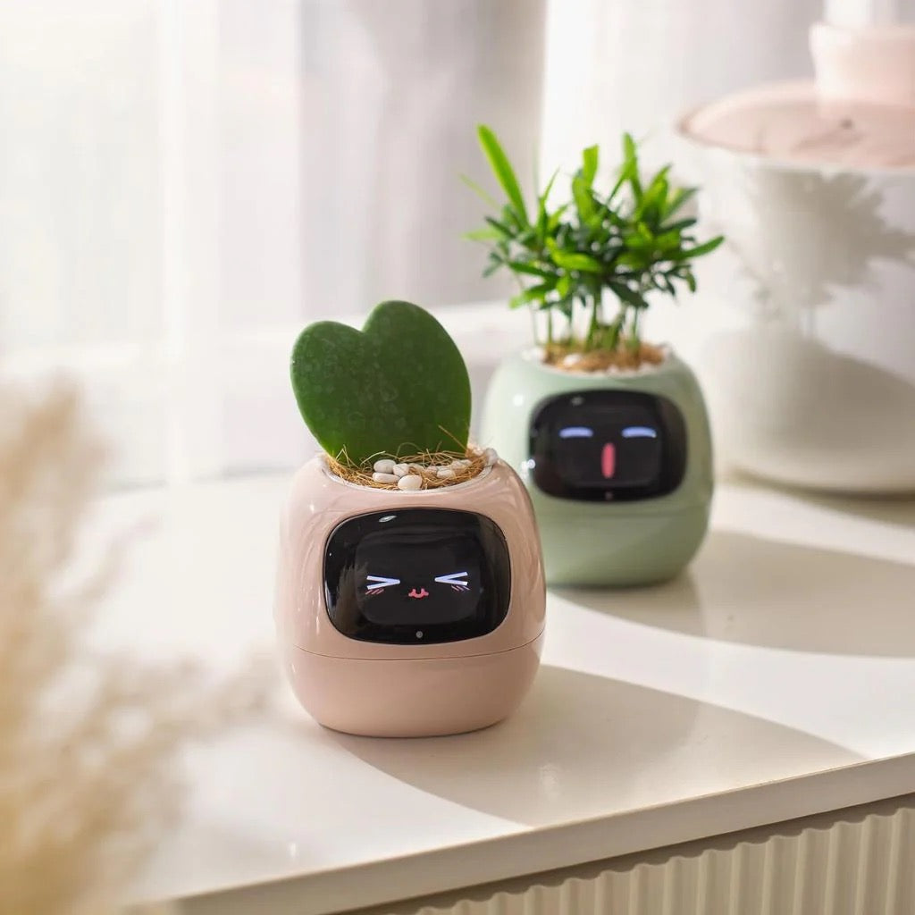 DoodlePop™ Pretty Perfect Pot