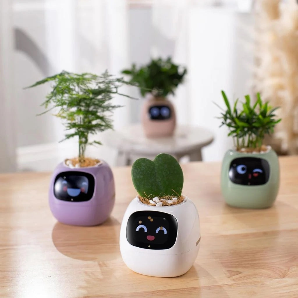 DoodlePop™ Pretty Perfect Pot