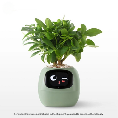 DoodlePop™ Pretty Perfect Pot
